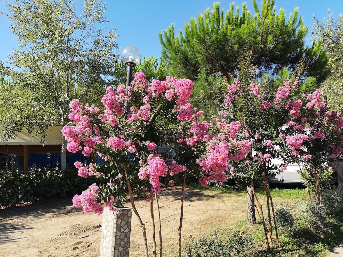 Luxury tent Country Camp Paradiso *