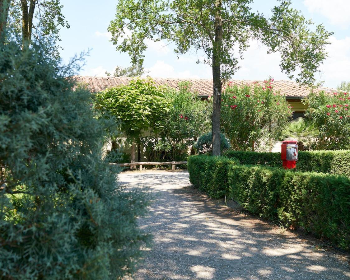Country Camp Paradiso * Viareggio